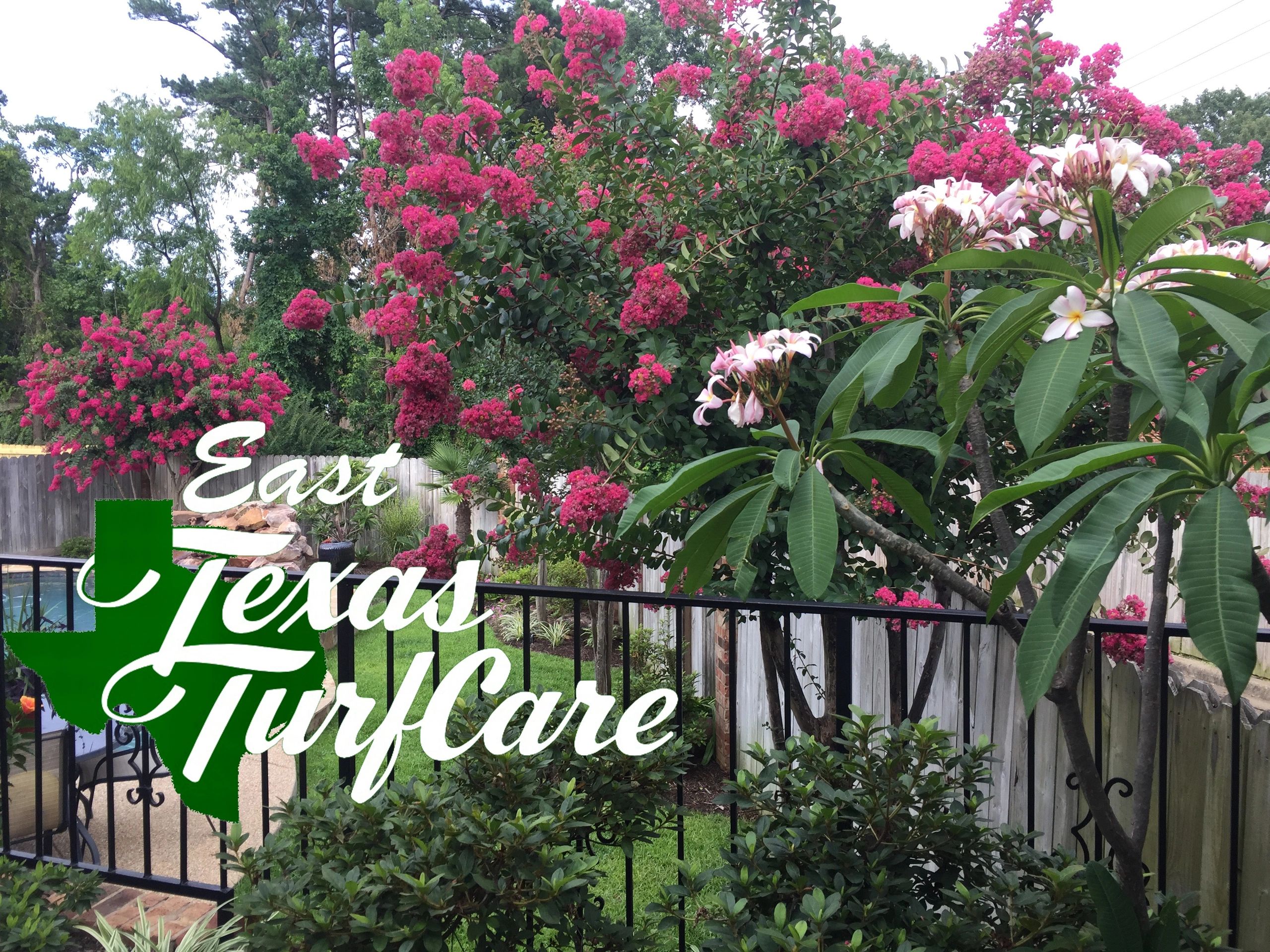 EAST TEXAS TURF CARE LLC logo