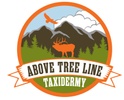 Above Tree Line Taxidermy