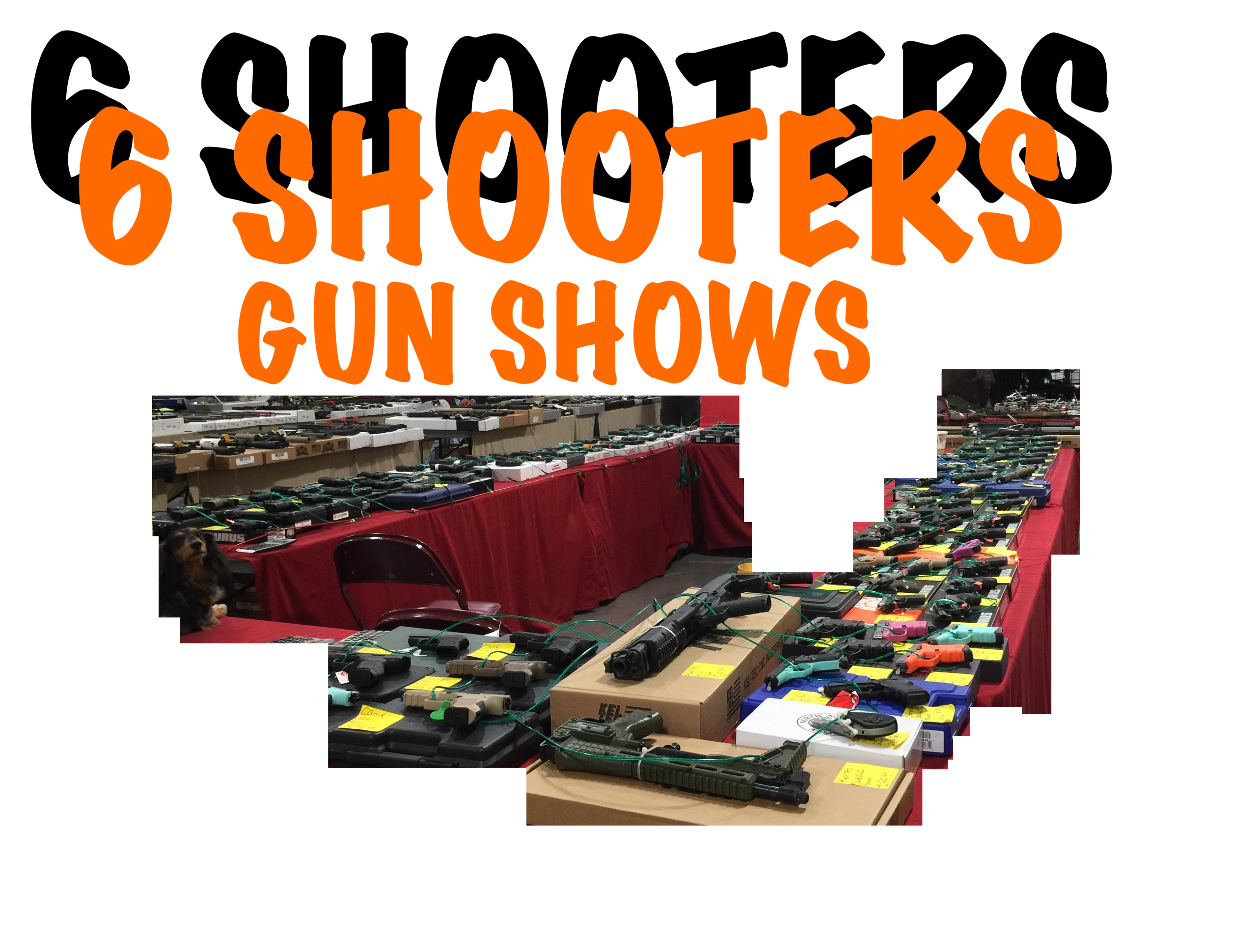 kci expo center gun show 2020