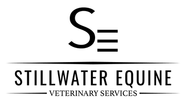 Stillwater Equine Veterinary Services