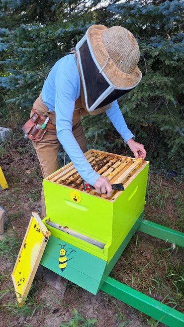A beekeeper inspects a bright yellow beehive outdoors.