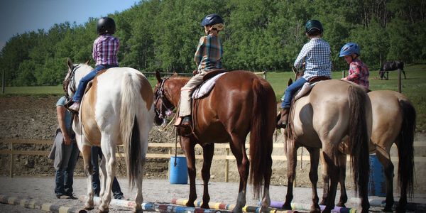 Summer Riding Camps & Lessons of all riding levels & ages. 