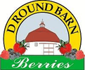 D Round Barn Berries