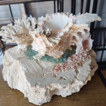 Murex Ramosa Shell oil lamp
149.00