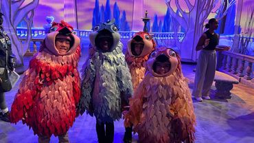 Dancer Bird costume, body pods, feathers and masks