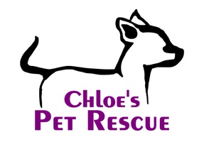 Chloe’s Pet Rescue