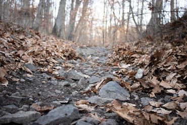 Rocks and leaves on the hiking trail.