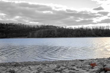Two leaves that lay on the rock bed prior to the lake.