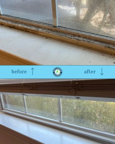 Before and after cleaning of a dusty, dirty window sill and window screen.