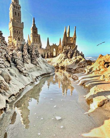 Sandcastle on the beach with bird south Padre Island