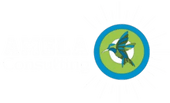Amela Consulting LLC