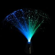 Light Up Fiber Optic Centerpiece from Lighted Universe