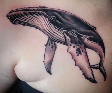 Realistic black and grey whale tattoo on chest.