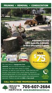 Tree Service in Simcoe County