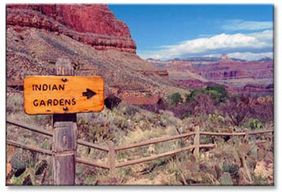 Vita Planta is Biodegradable & Environmentally Safe. It is USDA National Organic Program Compliant. It was approved by the Grand Canyon National Park Service for native landscaping. It is non-toxic to pets and animals. Will not harm birds, fish or bees.