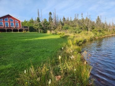 Willow Cottage located in Newfoundland and Labrador
