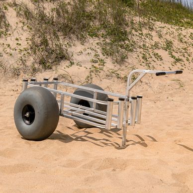 beach cart virginia beach fish