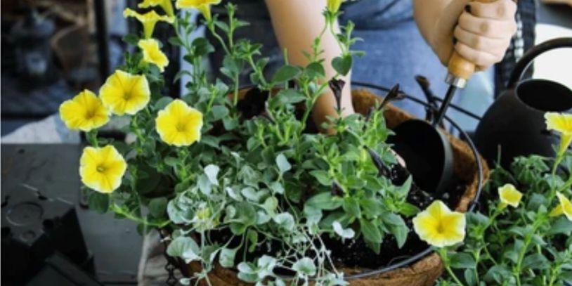 Dundas Ontario Garden Maintenance
Dundas Ontario Seniorβs Assistance
Dundas Helping Hands