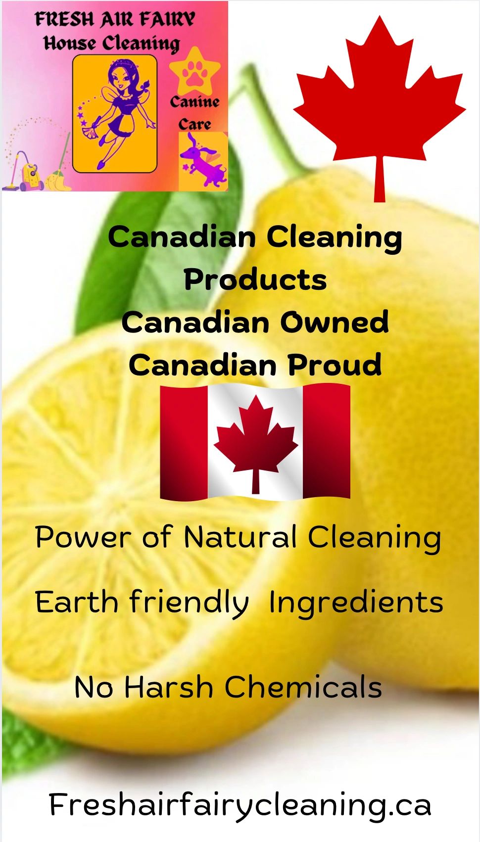 Dundas ON House Cleaner and Home Help
Waterdown ON House Cleaner
House Cleaner Delhi ON Port Dover