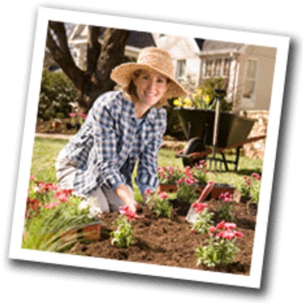 Lady mulching her flower beds