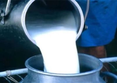 Pouring fresh milk from one container to another.