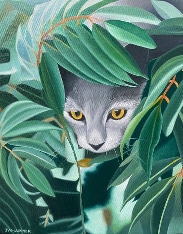 Cute grey cat original oil painting on canvas framed for sale UK small artwork animal art feline 