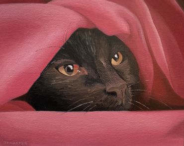 black cat original oil painting on canvas for sale UK small framed ready to hang cute pet portrait