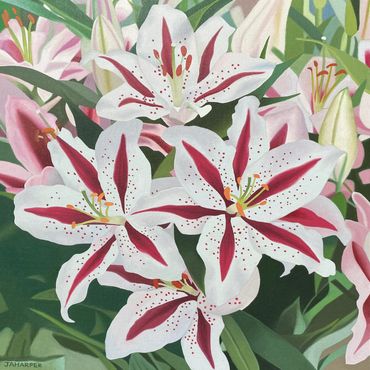 pink and white lilies original oil painting on canvas flower artwork floral wall art for sale UK