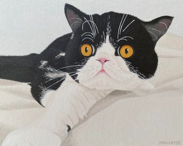Tuxedo cat oil painting on canvas black and white cat original artwork for sale UK framed 