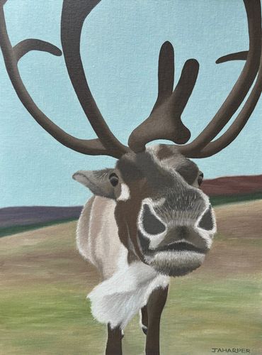 Cairngorm Mountain reindeer herd Scotland original oil painting on canvas animal art framed for sale