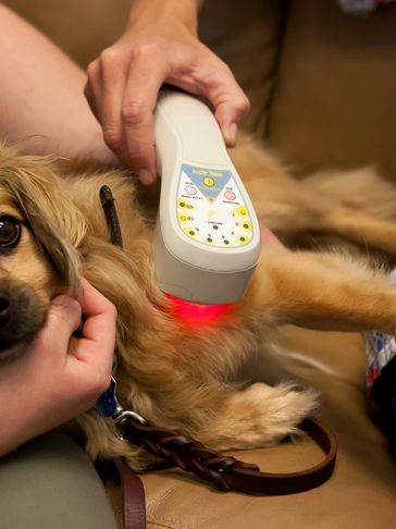 laser therapy at home 