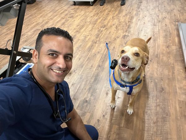 Veterinarian with a happy dog