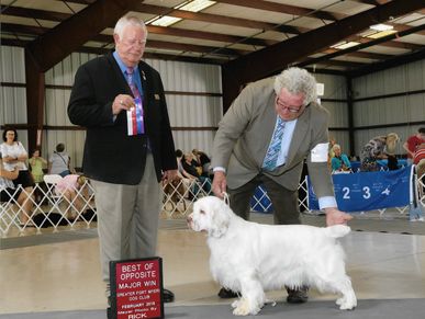 OFA Good Pdp1 Clear EIC Clear
GCH Shoguns Coded in Cobol  X  CH Avalea Mad as a Hatter