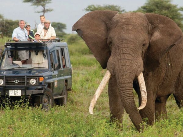 safari exploration travel packages at UCO Travel