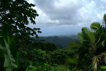 View from El Yunque National Forest