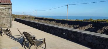 Lush vineyard scenery in Pico