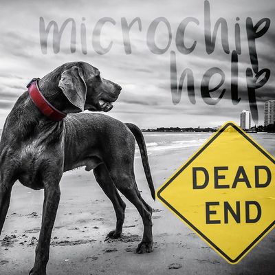 Help with dead end microchips. We research microchips on found animals to help lost pets go home.