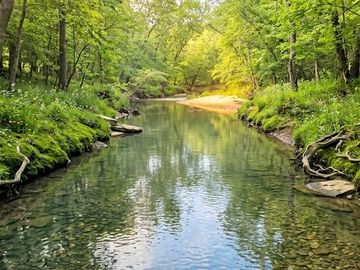 A calm river surrounded by lush green trees and clear water.