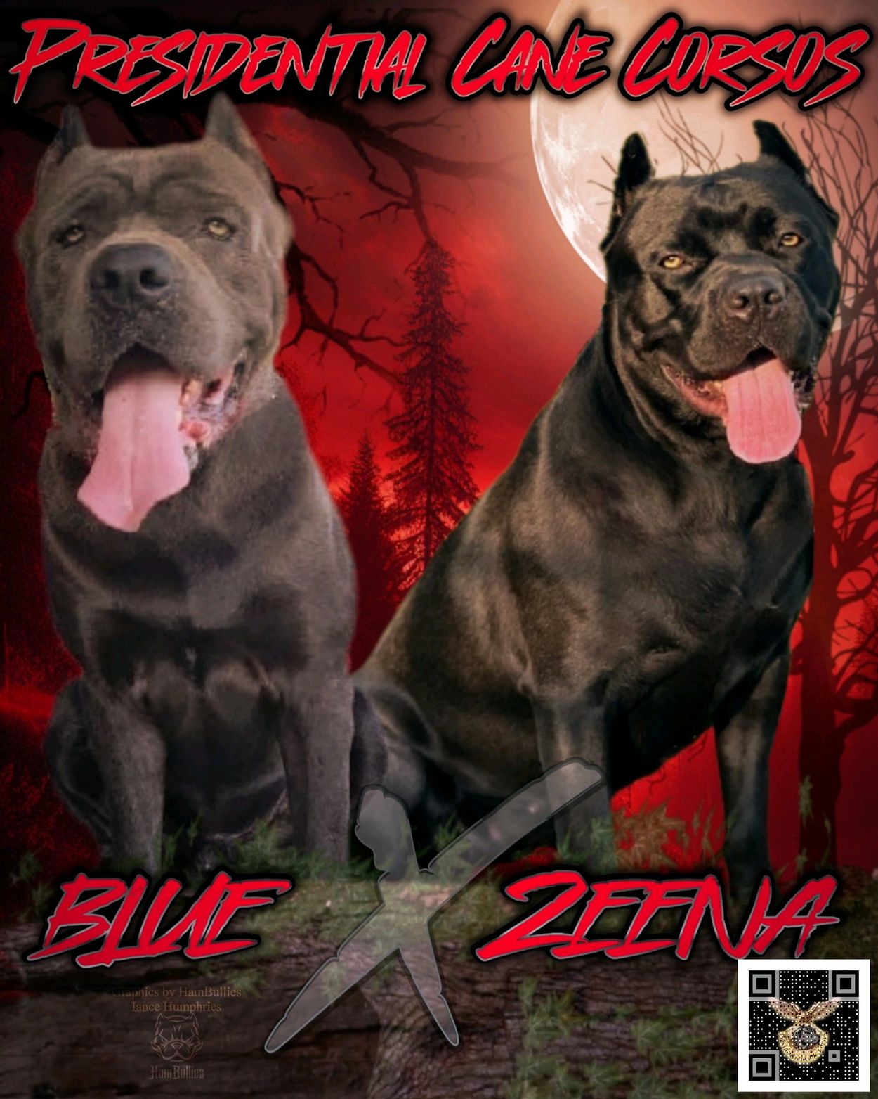 Protection dogs, Italian mastiffs, guard dogs