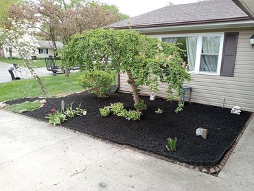 mulch install, tree, after