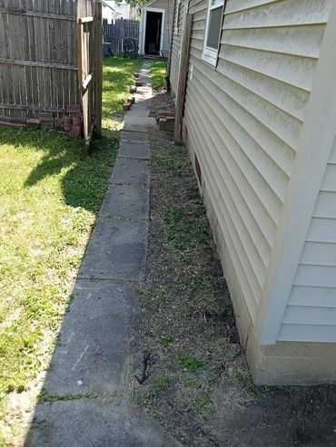 before picture fence, clean up