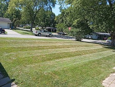 lines, stripes, proffesional zero turn mowing, weed eater, summer,