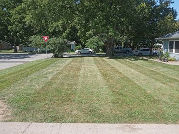 stripes, grass cut, zero turn mower, lines, crisp lines, professional lawn care, landscaping