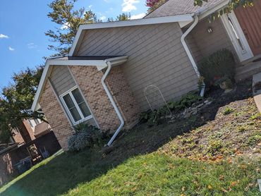 bushes, before, landscaping, clean up