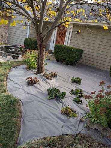 fabric installation, edging, clean up, trees , bushes, plants
