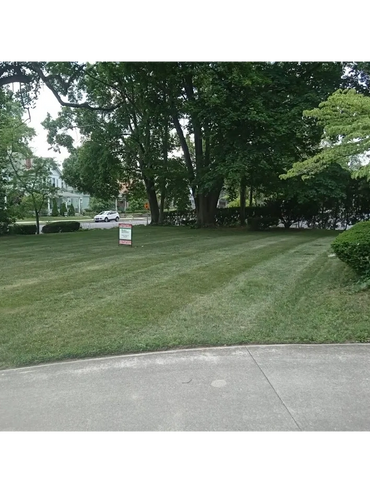 crisp lines, edging, weed eating, professional landscaping