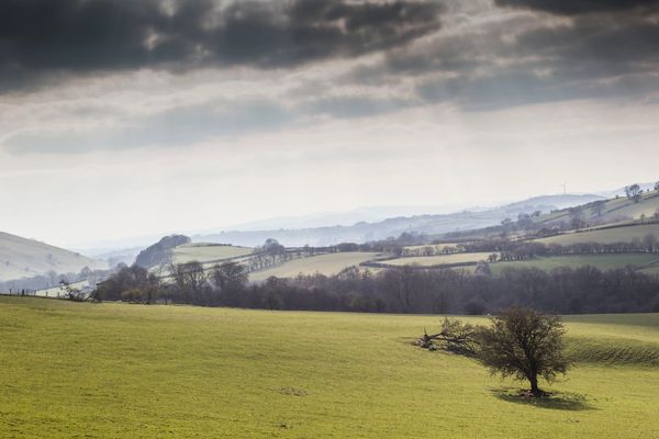 Powys countryside