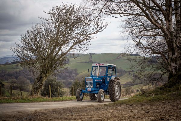 Ford vintage tractor