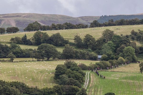 Long distance riding
