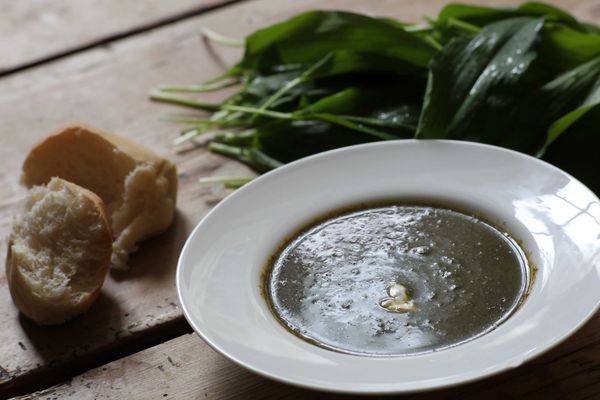 Wild garlic soup